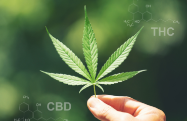 the chemical structure of THC and CBD