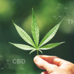 the chemical structure of THC and CBD